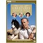 All Creatures Great and Small <b>DVD</b> ~ Christopher Timothy