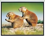 HDTV  LCD Rollo Beamer Leinwand 2m x 2m Diagonal 2,8 m Rolloleinwand HD Ready