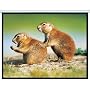 HDTV  LCD Rollo Beamer Leinwand 2m x 2m Diagonal 2,8 m Rolloleinwand HD Ready