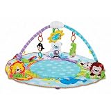 Baby Einstein Take Along Tunes