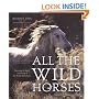 All the Wild Horses: Preserving the Spirit and Beauty of the World's Wild Horses
