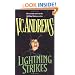 Lightning Strikes (Hudson Family, Book 2)