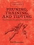 Pruning, Training, and Tidying: Bob's Basics