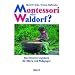 Montessori oder Waldorf?: Ein Orientierungsbuch f�r Eltern und P�dagogen