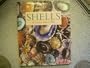 Shells