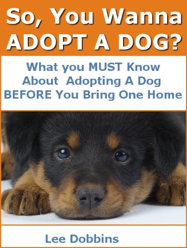 dog adoption 