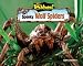 Spooky Wolf Spiders (No Backbone! the World of Invertebrates)