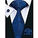 Hi-Tie Mens Stylish Paisley Tie Hanky Cufflinks set
