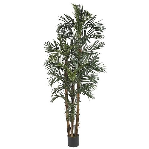 6' Robellini Palm Silk Tree