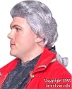 Historical Benjamin Franklin Costume Wig