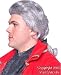 Historical Benjamin Franklin Costume Wig