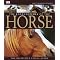 Favorite Horse Breed and Picture Books