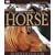 The Encyclopedia of the Horse