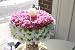 Zero Calorie Fresh Flower Cake Delivery FRESH FLOW