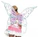 Jeweled Winter Fairy Wings