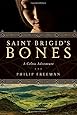 Saint Brigid's Bones: A Celtic Adventure