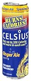 Celsius Calorie Burner, Ginger Ale, 12-Ounce Cans (Pack of 24)