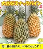 スナックパイン「大玉」3?4個入・石垣島産
