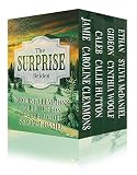 The Surprise Brides Box Set -- Jamie, Caleb, Gideon and Ethan: Western Historical Romance