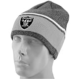Reebok Oakland Raiders Gray Team Color Stripe Beanie