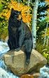 The Paws that Refreshes 1000pc Jigsaw Puzzle by Lee Kromschroeder