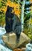 The Paws that Refreshes 1000pc Jigsaw Puzzle by Lee Kromschroeder