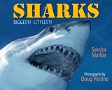 Sharks: Biggest! Littlest!