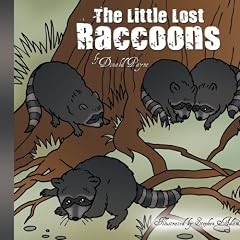 The Little Lost Raccoons