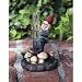 Climbing Gnome Rain Gauge