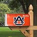 Auburn University Territory - College Mailbox Makeover
