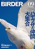 BIRDER 2012年 9月号 [雑誌]