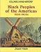 Black Peoples of the Americas, 1500-1990's (Collins Living History)