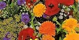 Wildflower Premium Mix Seeds-1/4 lb. Covers 75 sq.ft