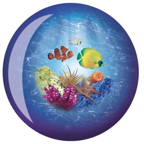 Ocean Viz-A-Ball