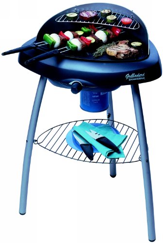 barbecue vertical grilladero campingaz