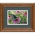 Set of 3 Butterflies Framed Minis By Rosemary Millette