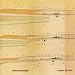 Maps Of Tacit