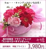 ��̓��z  ����10��OFF�I���ԃA�����W�u�X�g���x���[�L�����f�B�[�v��