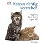 Katzen richtig verstehen. Was Ihre Katze Ihnen sagen will