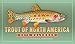 Trout of North America Wall Calendar 2016