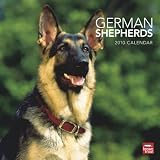 German Shepherds 2010 Wall