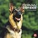 German Shepherds 2010 Wall