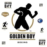 Oscar De La Hoya Golden Boy Logo Wall Graphic