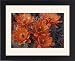 Framed Prints of NA, USA, Arizona, from Danita Delimont