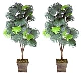 Two 6' Fan Palm Tripled Artificial Trees Silk Plants, with No Pot,