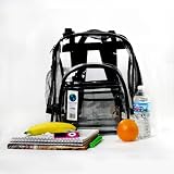 Clear Transparent Backpack
