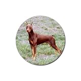 Doberman Pinscher Rubber Round Coaster (4 pack)
