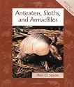 Anteaters, Sloths & Armadillos (Animals in Order)