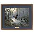 Spring Run Bald Eagle Framed Art