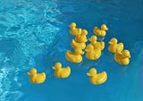 Baby Bath Toys: Plastic Ducky - 12 Pieces Lead Free and Non-toxic